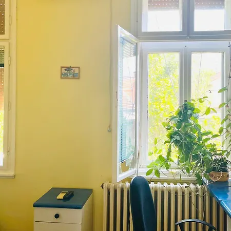 With Parking 3 Bedroom Novi Sad